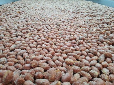 Türk Fistigi Aydin'da Deger Kazaniyor