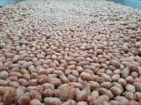 Türk Fistigi Aydin'da Deger Kazaniyor