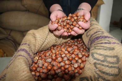 Çakirmelikoglu, TMO'nun Kararini Elestirdi