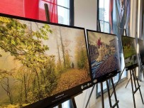 Sinop'a Dair Ödüllü Fotograflar Sergilendi