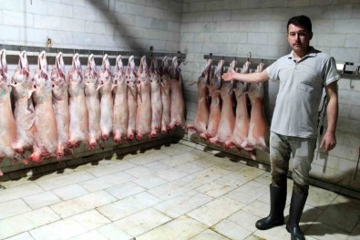 Hayvan Üreticileri  Kuzularini Keserek Bagis Yapiyor