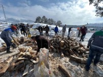 Sarikamis'in Odunlari Depremzedeleri Isitacak