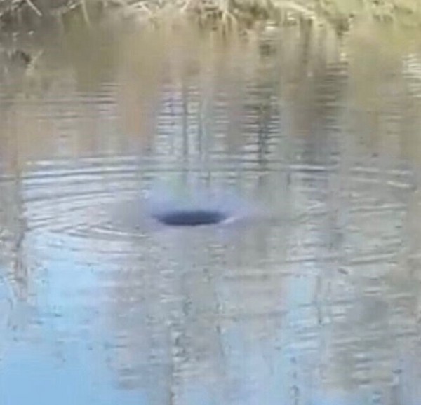 Depremler sonrası derelerde obruklar oluştu