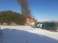 Bag Evinde Çikan Yangin Ormana Siçramadan Söndürüldü