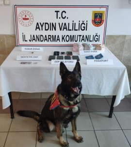 Nazilli'de Fuhus Operasyonu