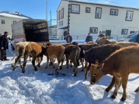 Akdagli Köylülerden Örnek Yardim