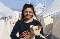 Gelin Ve Damat Dügün Gecesi Depremde Öldü