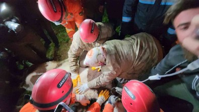 Günlerce Enkaz Altina Sürünerek Girip Besledigi Inegine 11 Gün Sonra Kavustu