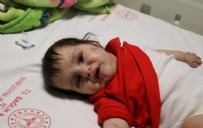 Türkiye’yi ağlatan kavuşma: Deprem enkazından kedinin miyavlamasıyla kurtuldu!