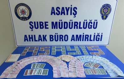 Aydin'da Kiraathaneye Kumar Baskini