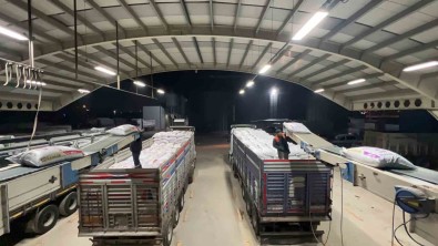 Konya Büyüksehir 50 Tir Unun Ardindan Hatay'a 10 Tir Besi Ve Süt Yemi Gönderiyor