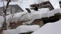 Bitlis'te Tek Katli Evler Kara Gömüldü Haberi