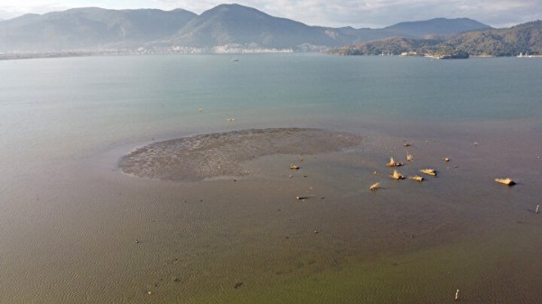 Ege Denizi'nde ilginç görüntü: Sırrı çözülemedi herkesi tedirgin eden olay bu sabah kaydedildi