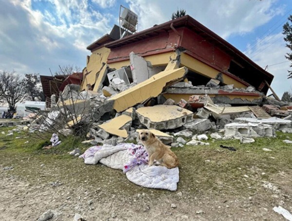 Fay hattının geçtiği köy enkaza döndü