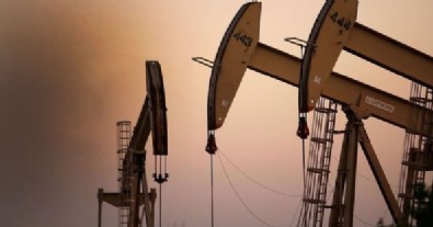 TPAO, 15 saha için petrol arama ruhsatı aldı