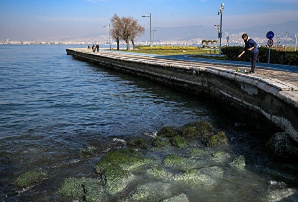Ege Denizi'ndeki su çekilmesi korkutmuştu: Nedeni belli oldu