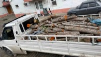  TRABZON - Trabzon'da depremzedeler için hazırlanan odunlar çalındı