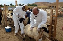 Talas'ta Tarimsal Kalkinmaya Destek Sürüyor