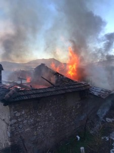 Bos Ev Alev Alev Yandi