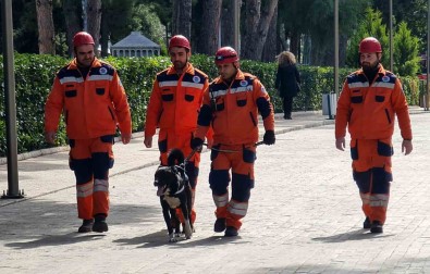 Depremzede Köpek 'Hayat', Yeni Hayatlar Kurtaracak