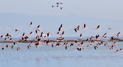 Hersek Lagünü'nde Renkli Görüntüler