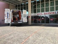 Aydin'da Dehsete Düsüren Görüntüler