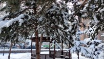 Ardahan'da Kar, Kartpostallik Görüntüler Olusturdu Haberi