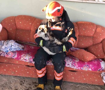 Evin Ikinci Katinda Yangin Çikti, Kuzu Ve Inekler Itfaiye Ekiplerince Kurtarildi