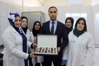 Kadinlarin Gücü Çikolatayi Tatlandirdi