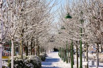 Sehitkamil'de Kartpostallik Görüntüler