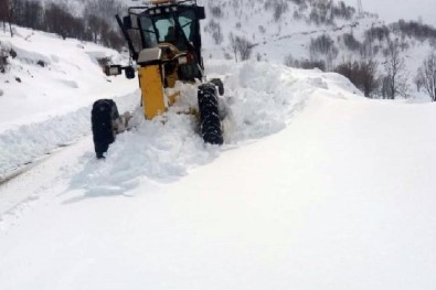 Kar Nedeniyle 22 Köy Yolu Kapandi