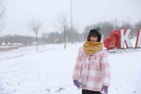 Yilin Ilk Kar Yagisi