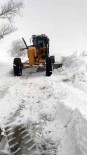 Nilüfer'de 40 Mahallede Karla Mücadele Çalismasi Yapildi Haberi