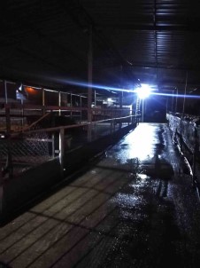 Çikan Yanginda Hayvanlarin Barinaklari Ve Yiyecekleri Kül Oldu