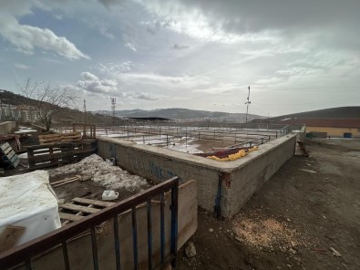 Yozgat'ta Canli Hayvan Pazarlari Tedbiren Kapatildi