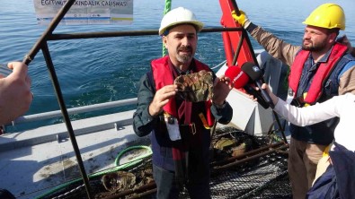 Doç. Dr. Coskun Erüz Açiklamasi 'Denizlerimiz Hizla Kirleniyor'