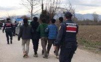  SAKARYA HABERLERİ - Sakarya'da 7 düzensiz göçmen yakalandı