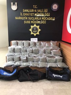 Sanliurfa'da Çekicide 25 Kilo Skunk Ele Geçirildi