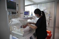 Aydin'da 10 Depremzede Bebek Dünyaya 'Merhaba' Dedi