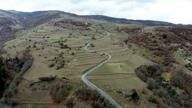 Baskan Demir Açiklamasi '17 Ilçemizdeki Bin 251 Mahallemizde Yol Sorunlarini Çözüyoruz'
