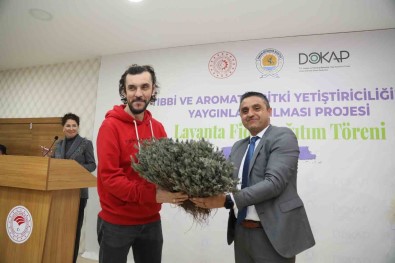 Samsun'da 225 Bin Lavanta Fidesi Dagitildi