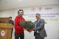 Samsun'da 225 Bin Lavanta Fidesi Dagitildi