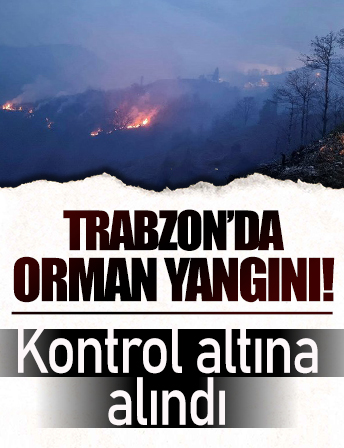 Trabzon'un Of ilçesinde orman yangını çıktı