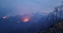  TRABZON - Trabzon'un Of ilçesinde orman yangını çıktı