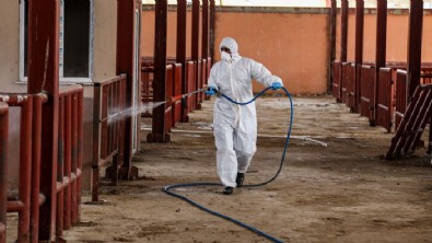 Van'da şap hastalığına karşı dezenfeksiyon seferberliği