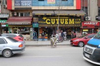 Park54'ü Kendi Özel Otoparkina Çevirdi