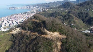 Giresun'da Millet Ormani' Projesi Hayata Geçiyor