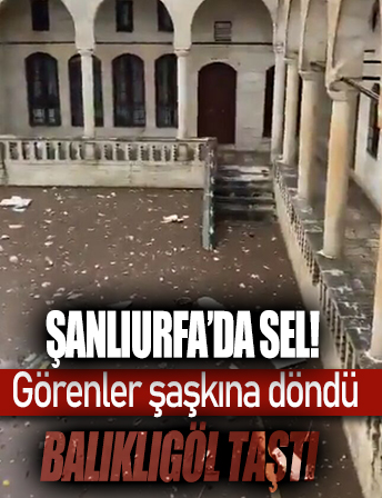 Şanlıurfa'da sel! Balıklıgöl taştı