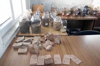 Türkiye'nin Ata Tohum Merkezi