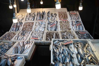 Av Yasagindan Önceki Son Baliklar Tezgahlarda